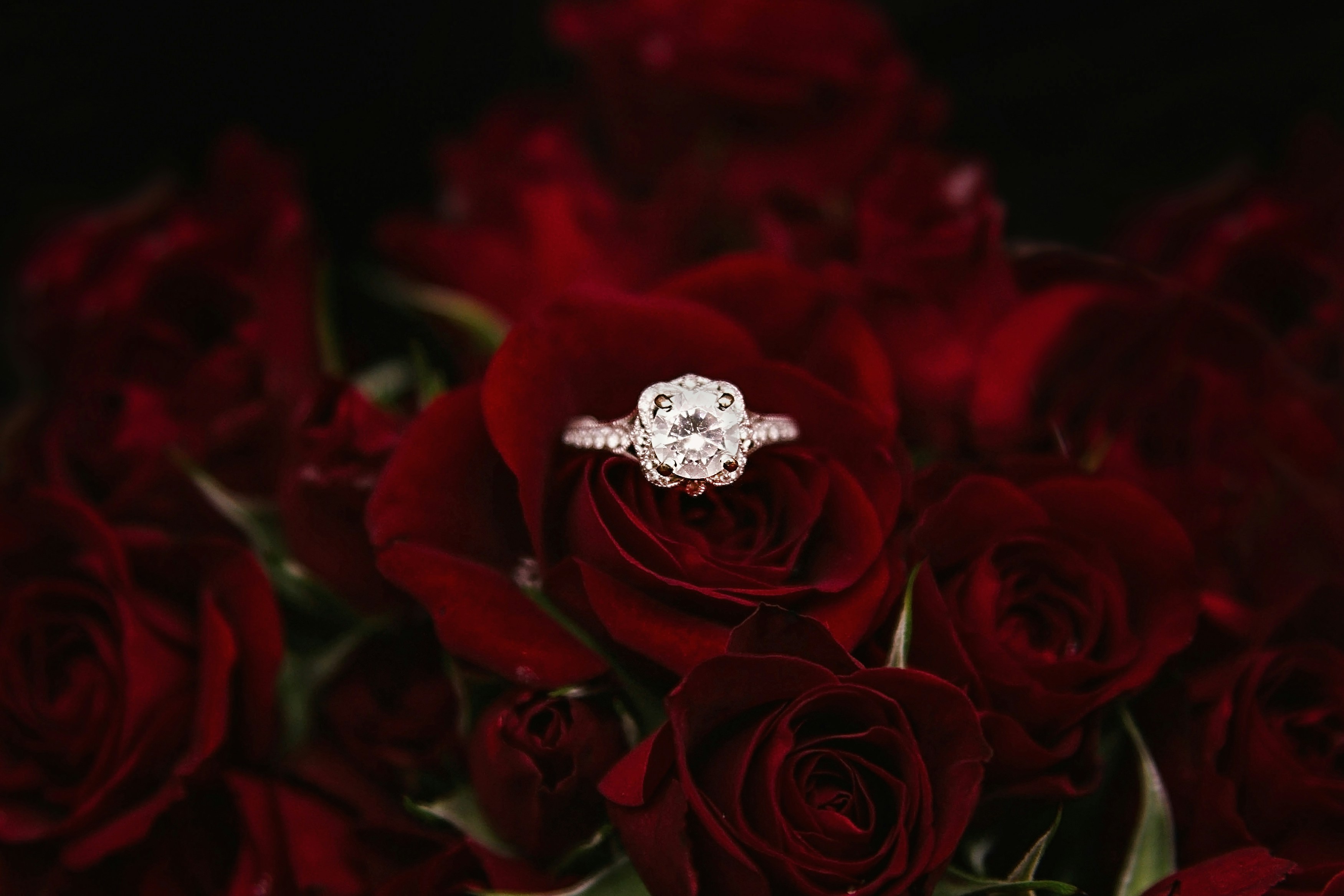 How Much Does a 0.5 Carat Diamond Cost? (2025 Guide)